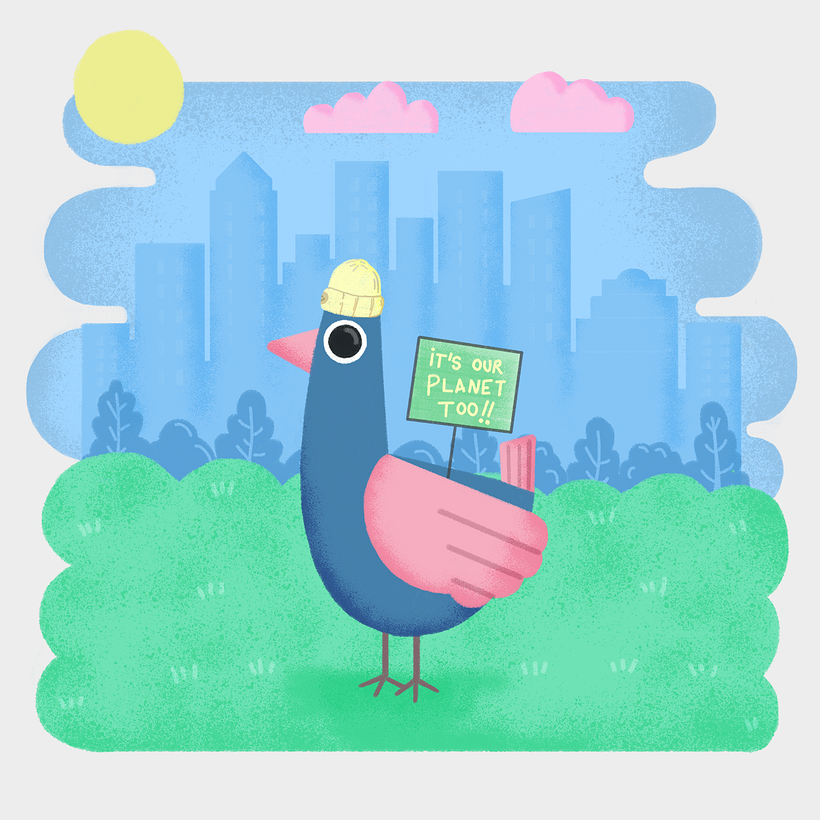 Urban pigeon activism