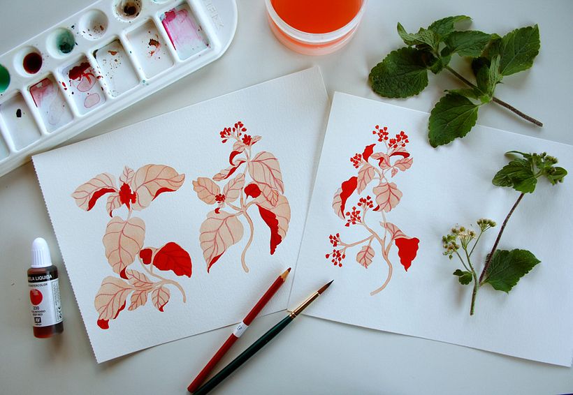 Estampas em aquarela - Projeto pessoal 8