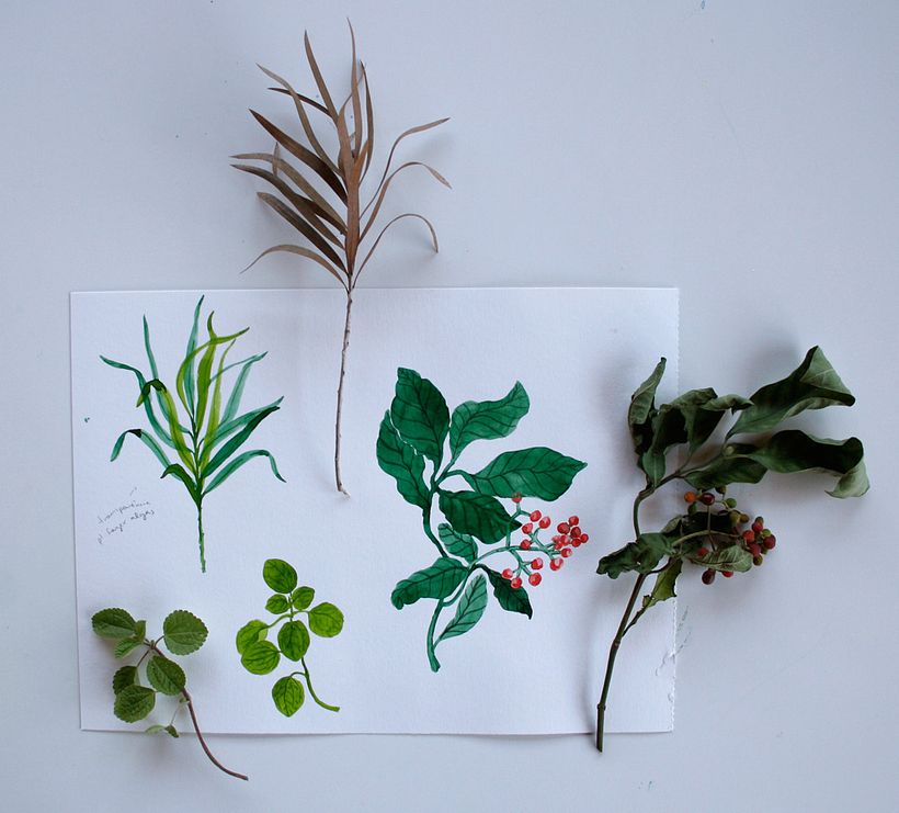 Estampas em aquarela - Projeto pessoal 12