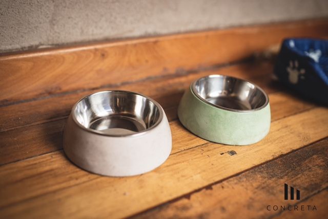Plato de Concreto para Mascotas.