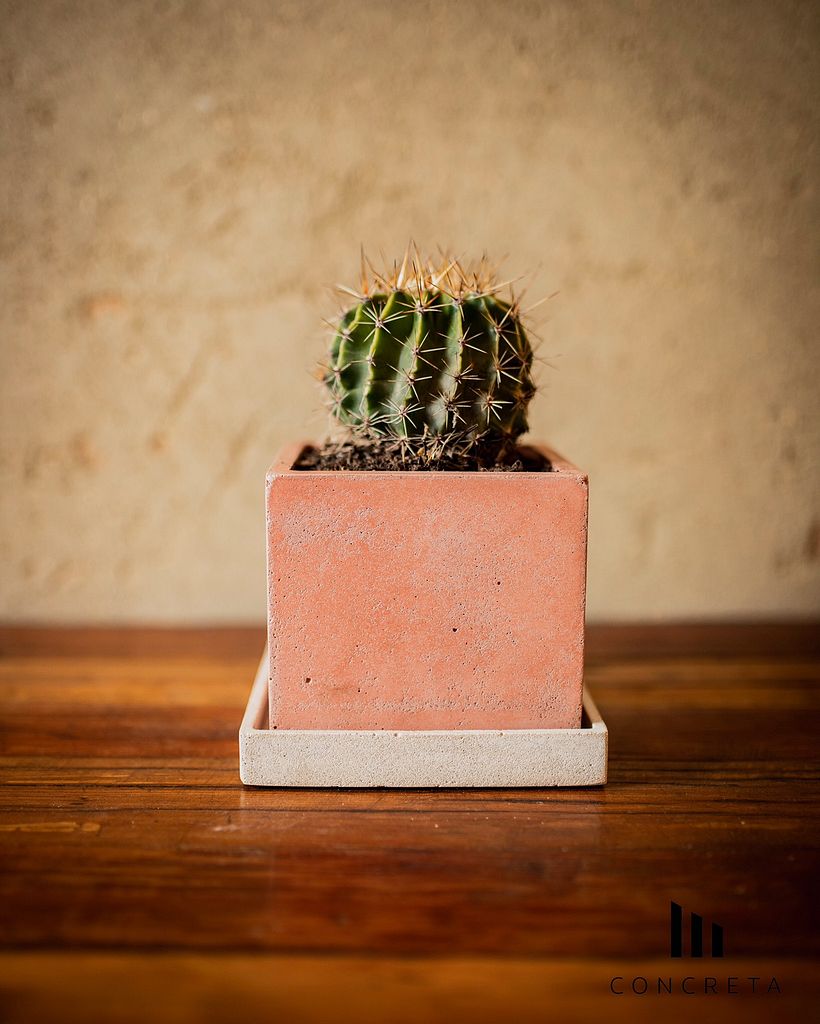 Macetero Rojo y base Blanca.