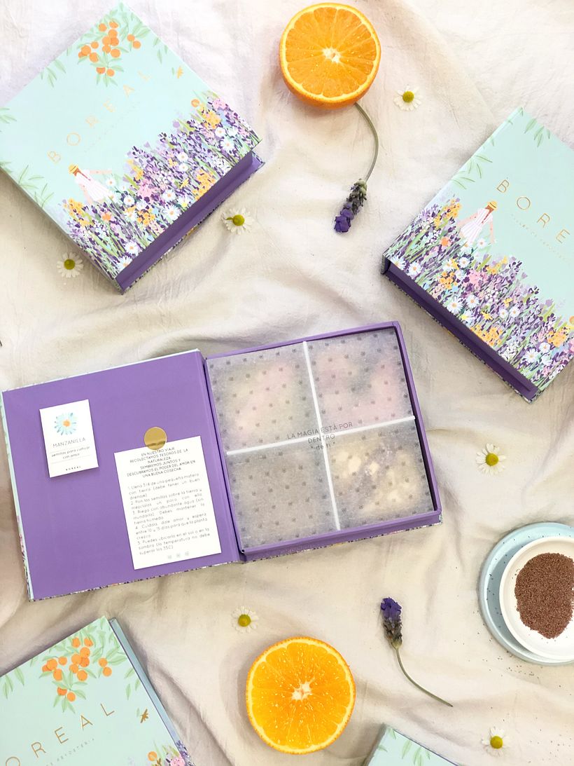 Boreal ft Ana Blooms 2