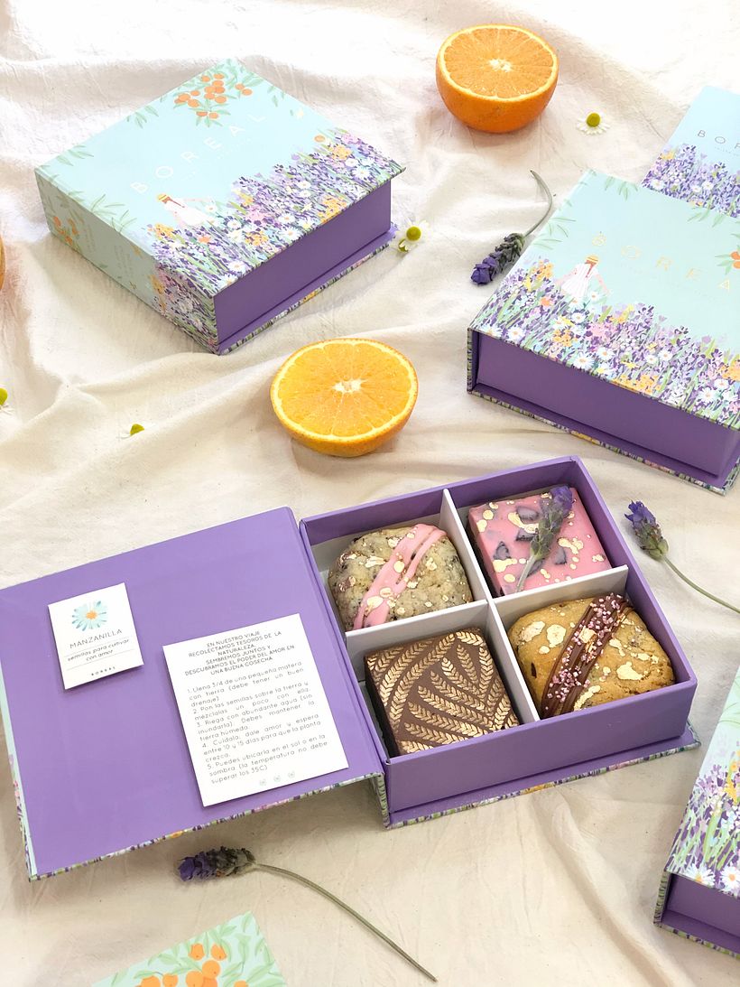 Boreal ft Ana Blooms 7