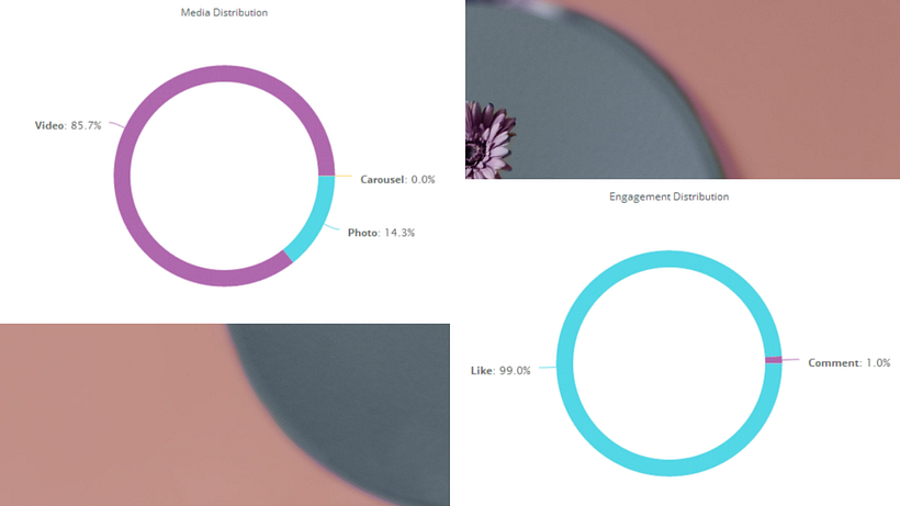Final project Community Management course 14