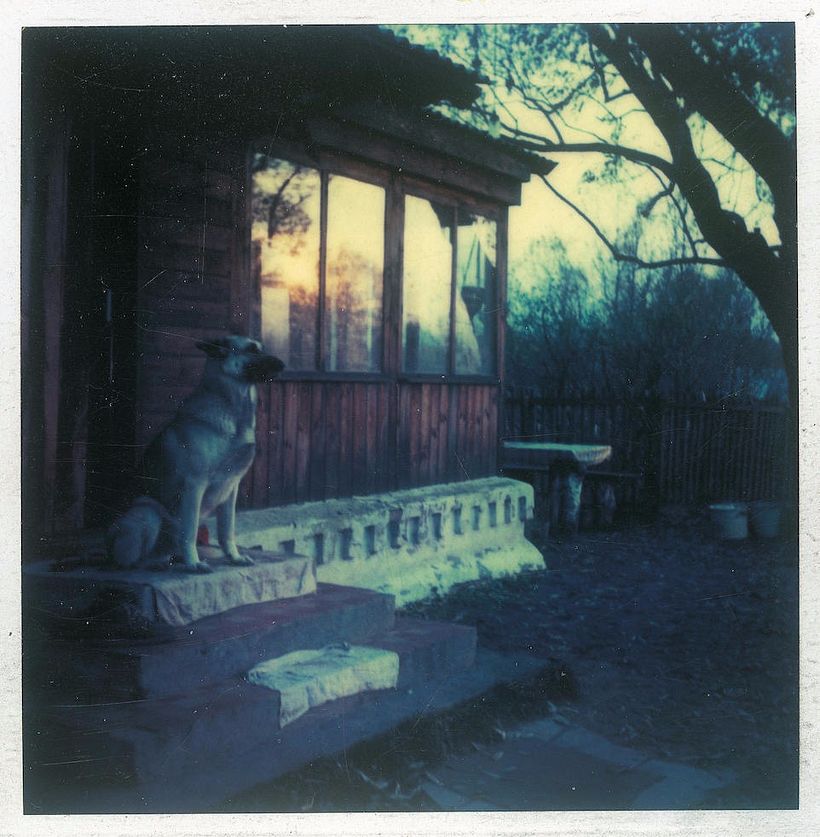 Andrei Tarkovsky