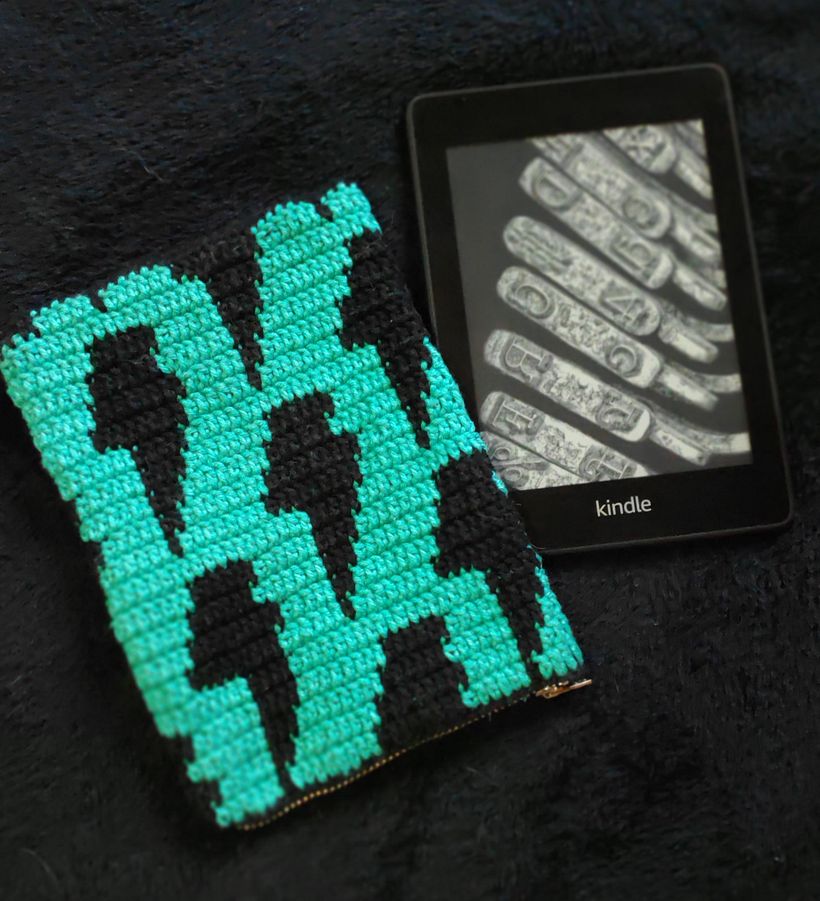 Case for kindle