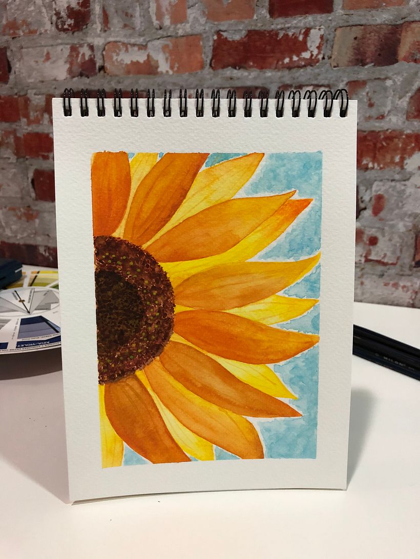 Mi proyecto del curso 10