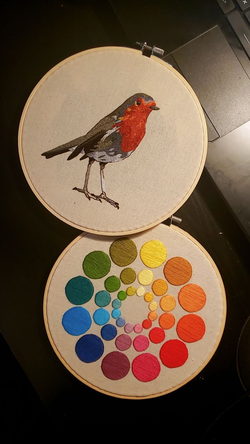 Colour wheel and robin