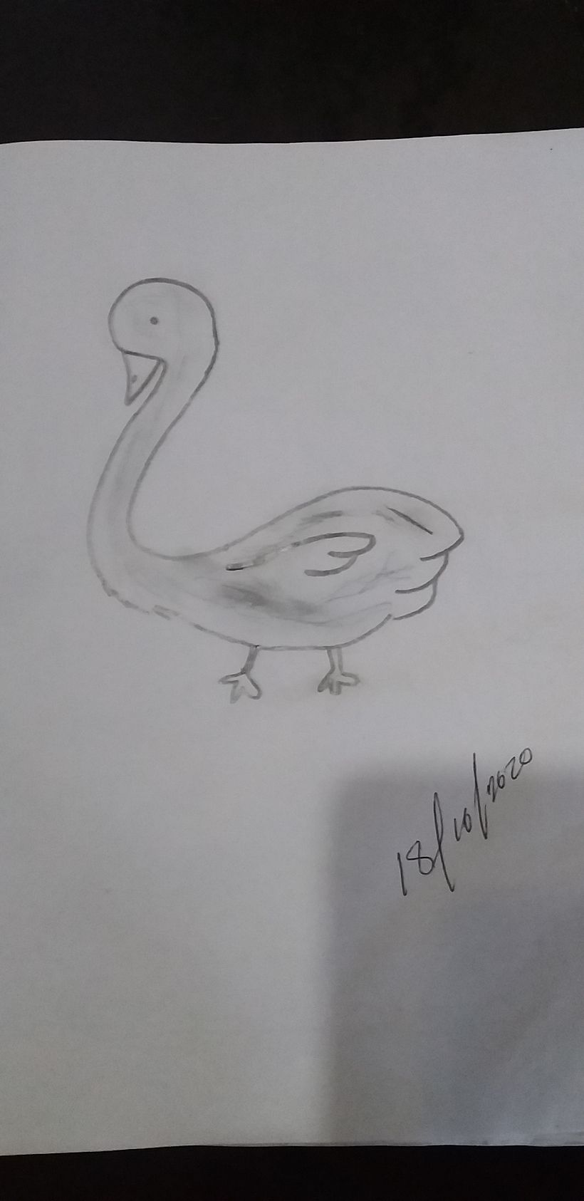 Mi Proyecto del curso: Dibujo para principiantes nivel -1 0