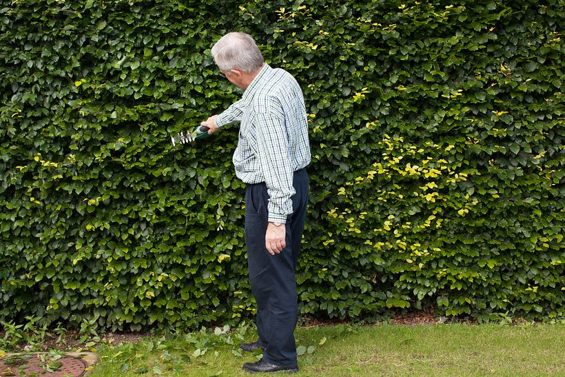 The Scarred Landscape 0