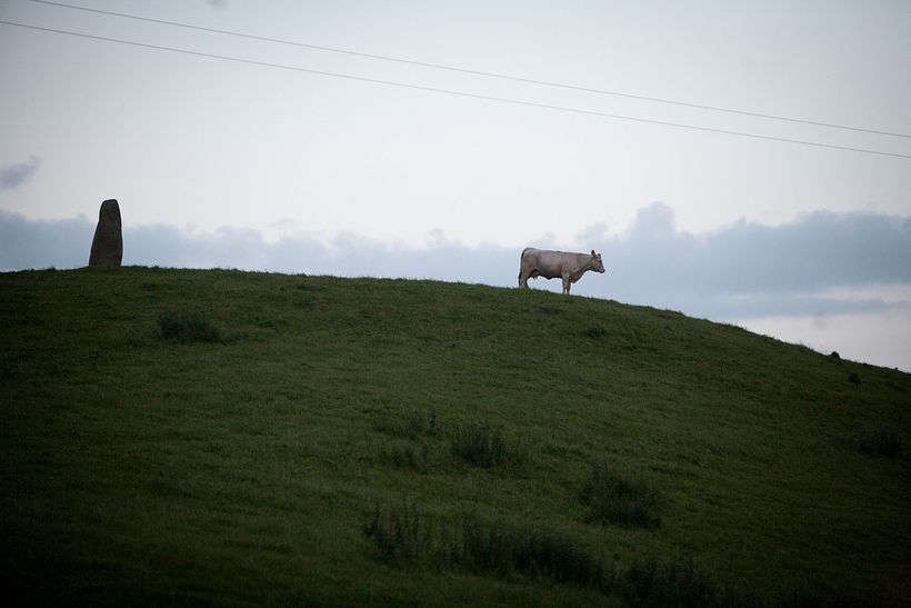 The Scarred Landscape 4