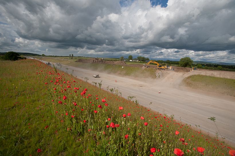 The Scarred Landscape 5