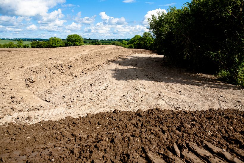 The Scarred Landscape 8