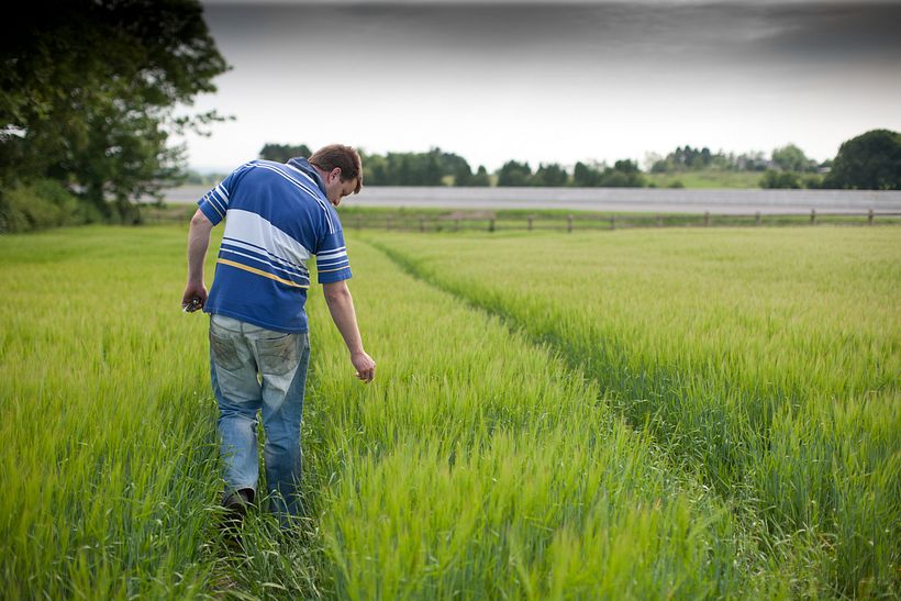 The Scarred Landscape 9