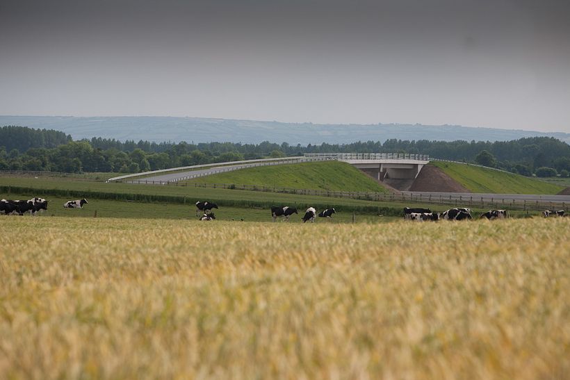 The Scarred Landscape 10