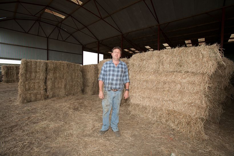 The Scarred Landscape 11