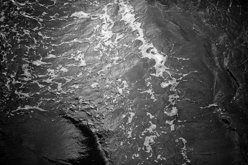 Who gave you the roses? 1