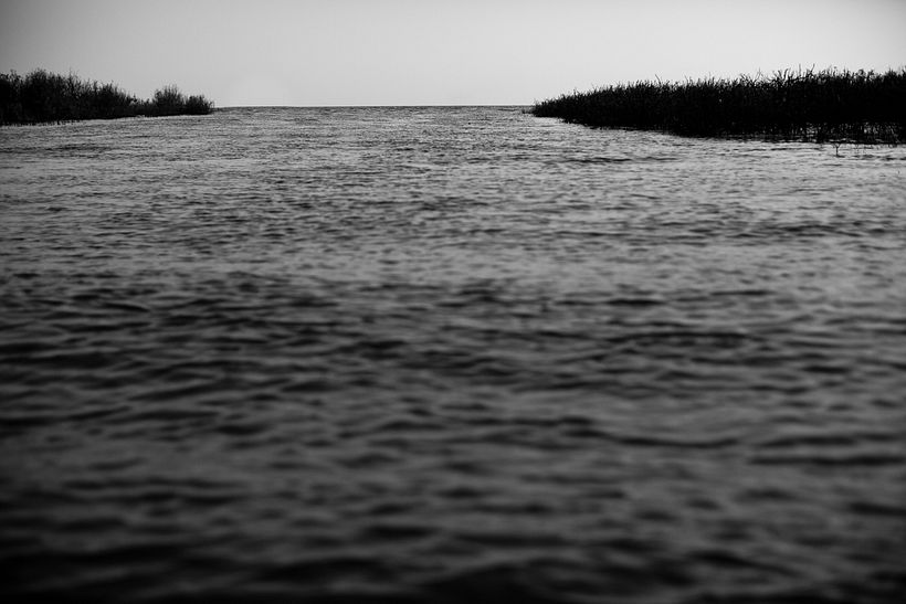 Who gave you the roses? 1