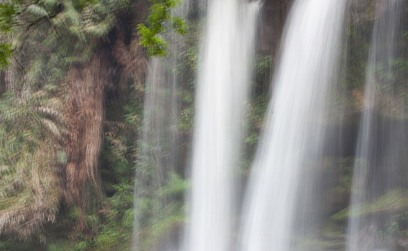 Who gave you the roses? 2