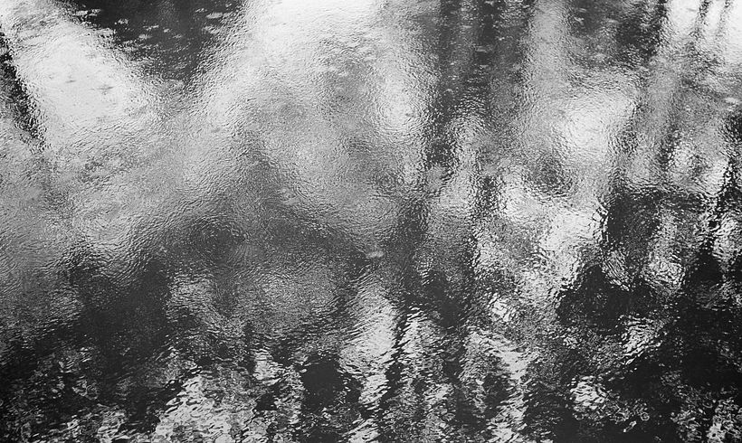 Who gave you the roses? 5