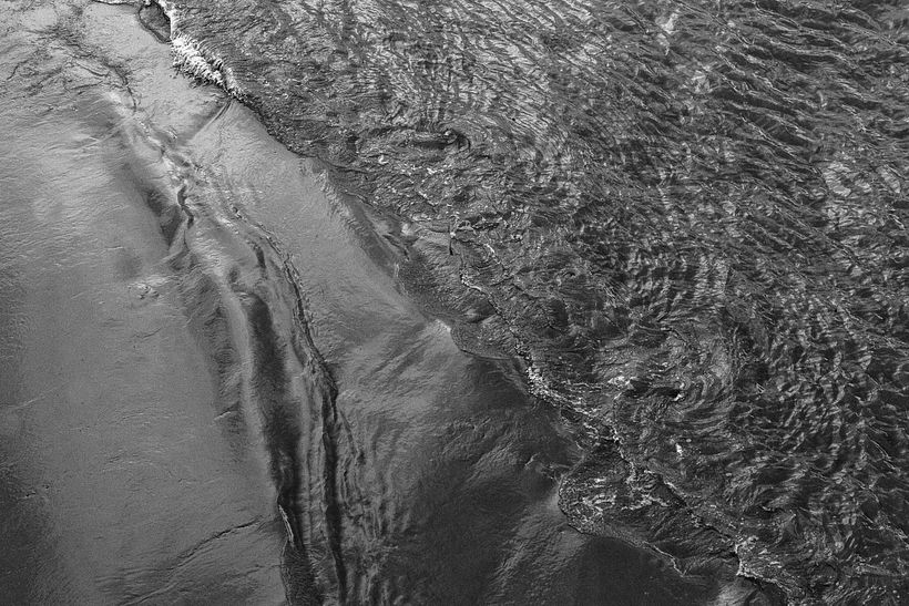 Who gave you the roses? 6