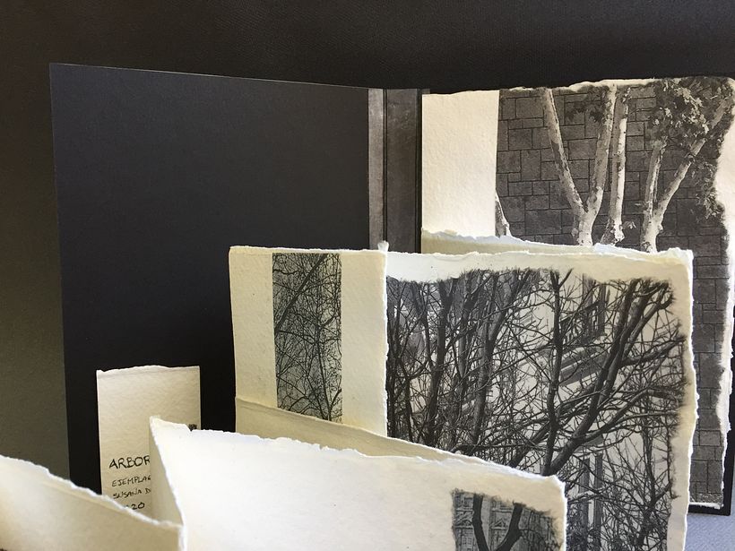 'Arboretum' concertina sobre papel de trapo de algodón.