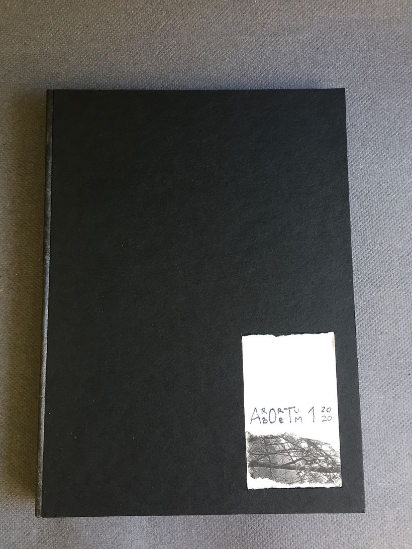 Tapas de la concertina de papel 'Arboretum'