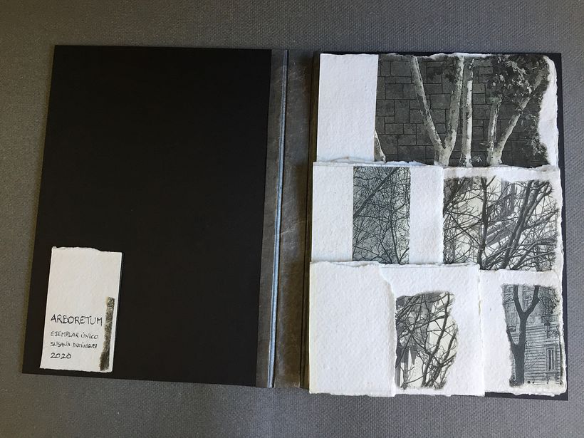 Concertina 'Arboretum' sin desplegar.