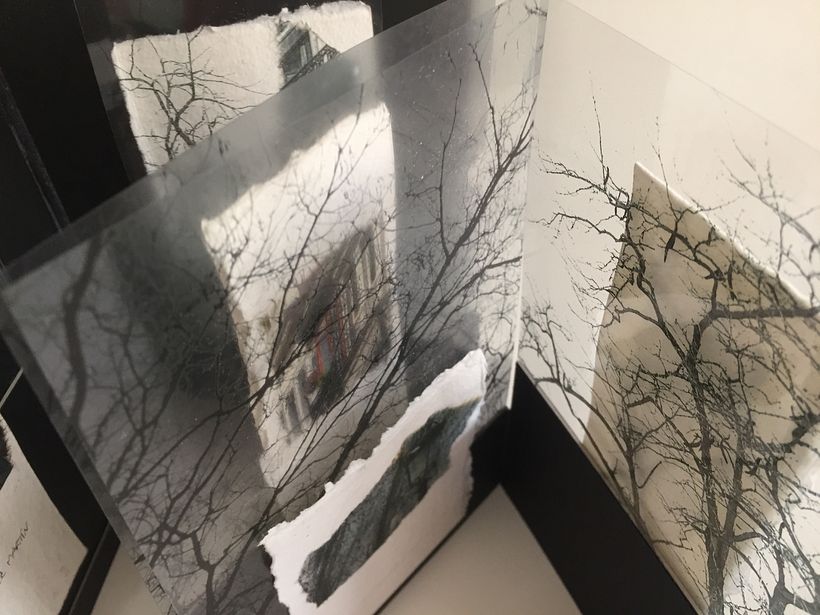 Detalle de la concertina 'Arboretum' con acetatos