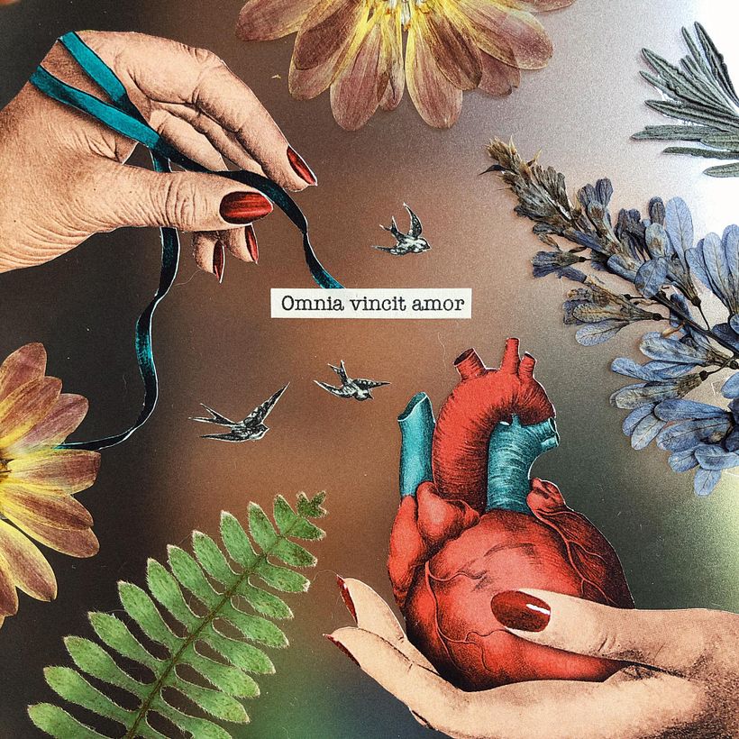 Collage analogous with pressed plants and clippings. For client 2020. 