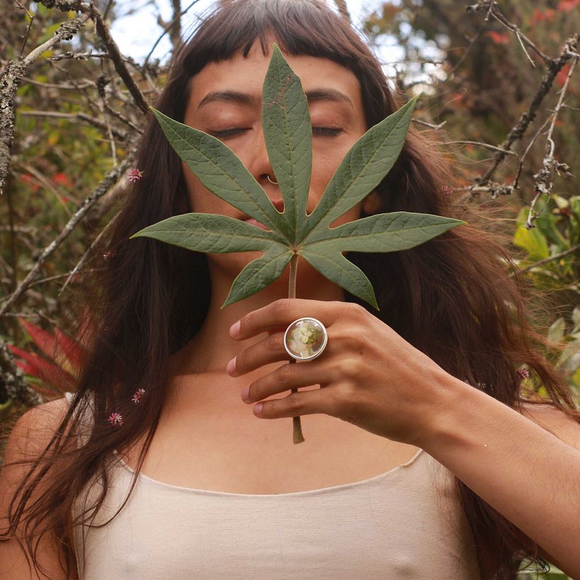 Flor interior de Huitaca. 2019