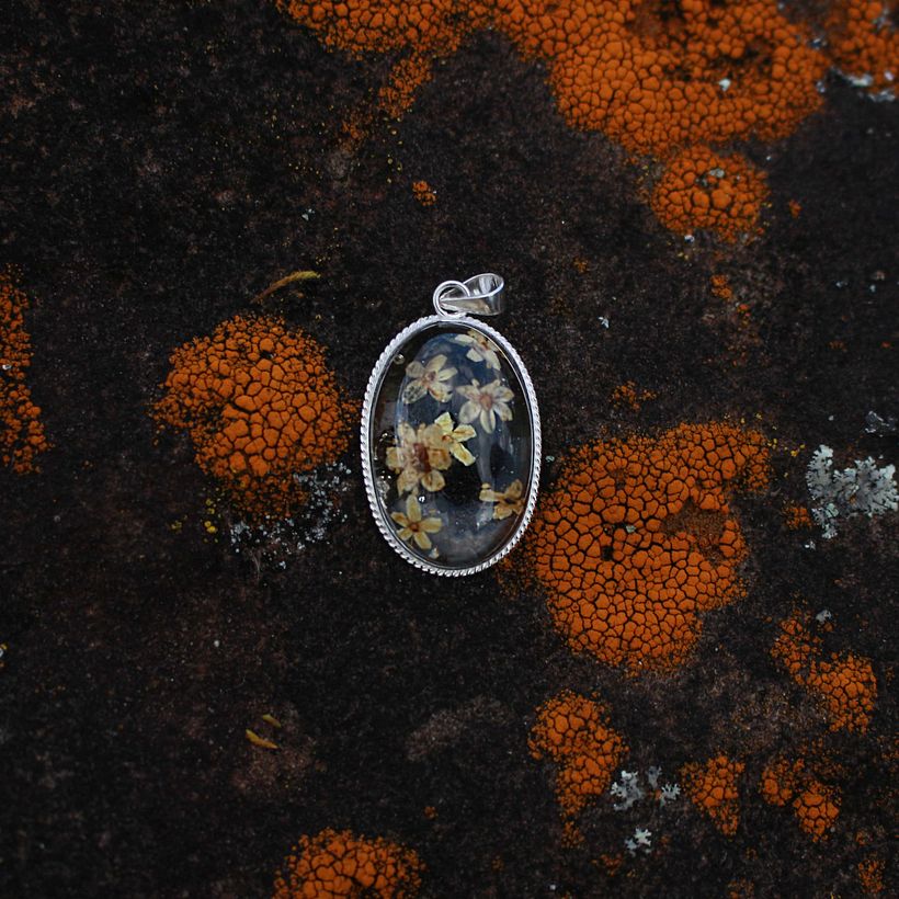 Flor interior de Huitaca. 2019