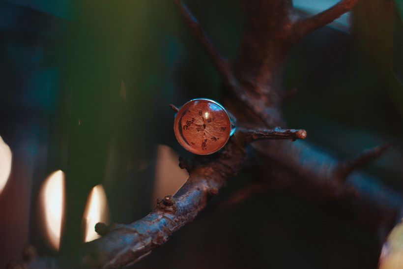 Flor interior de Huitaca. 2019