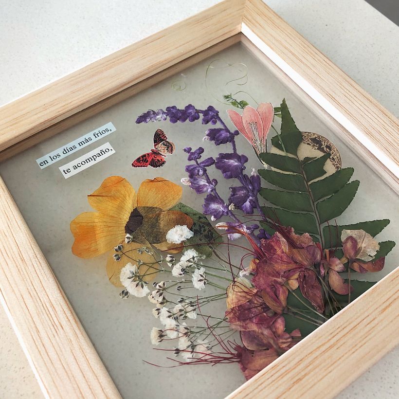 Composición botánica con plantas prensadas. 15x15 cm. Happy Green Family 2020