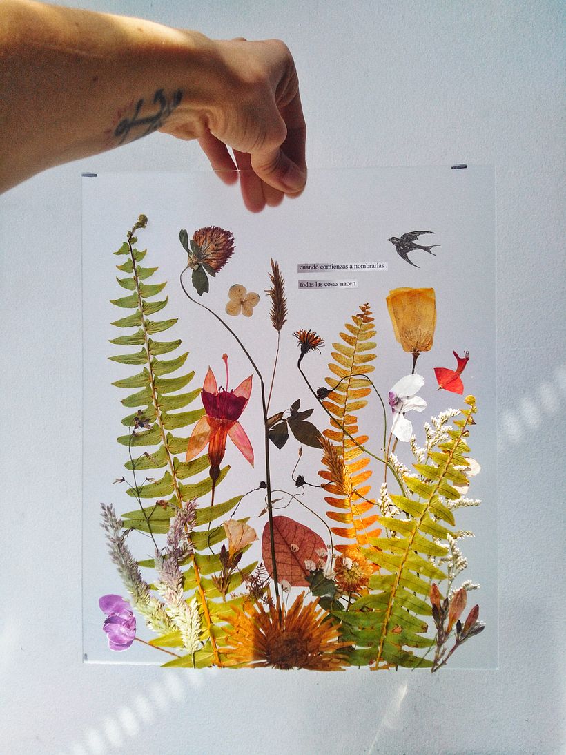 Composición botánica con plantas prensadas. 28x33 cm. Happy Green Family 2020