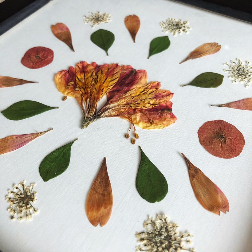 Mandala con flores prensadas. 20x20 cm. Happy Green Family 2019.