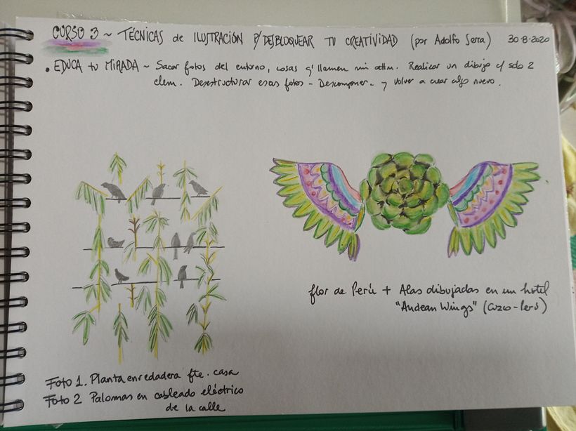 Arruiné la sombra de la flor y quedó otra, por apurada...pero no importa, lo intenté y aprendí.