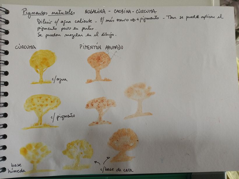 Como no tenía todos los pigmentos que dijo el profe, probé con pimentón ahumado...mmmm...algo quedó.