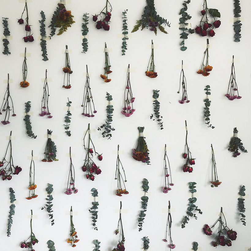 Decorative wall with dried flowers. Happy Green Family