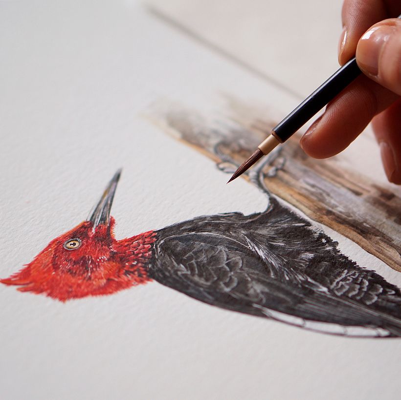 Antonia Reyes Montealegre