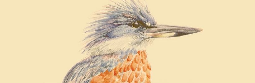 Antonia Reyes Montealegre