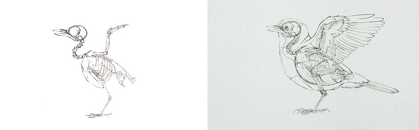 Antonia Reyes Montealegre