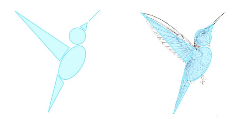 Antonia Reyes Montealegre