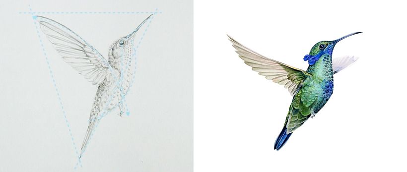 Antonia Reyes Montealegre