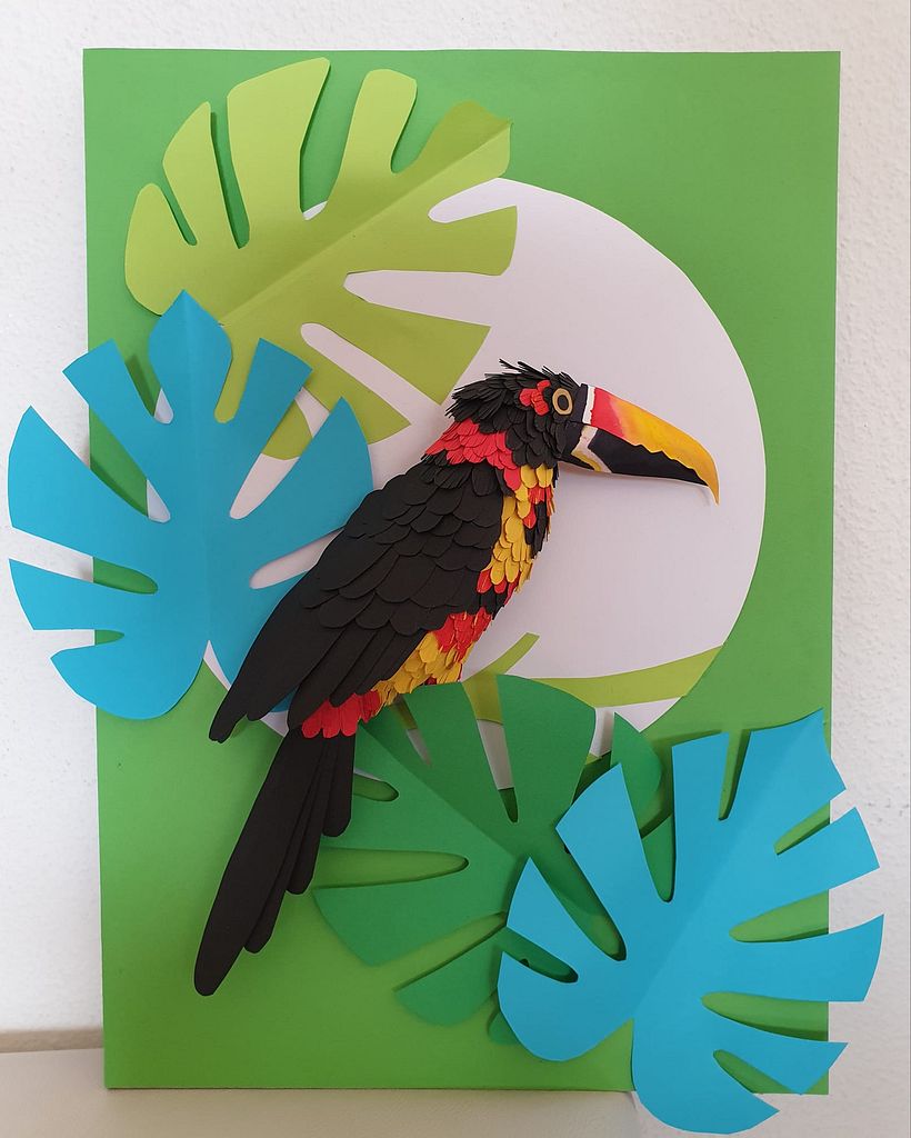 Tucan pico de navaja, El Salvador 0