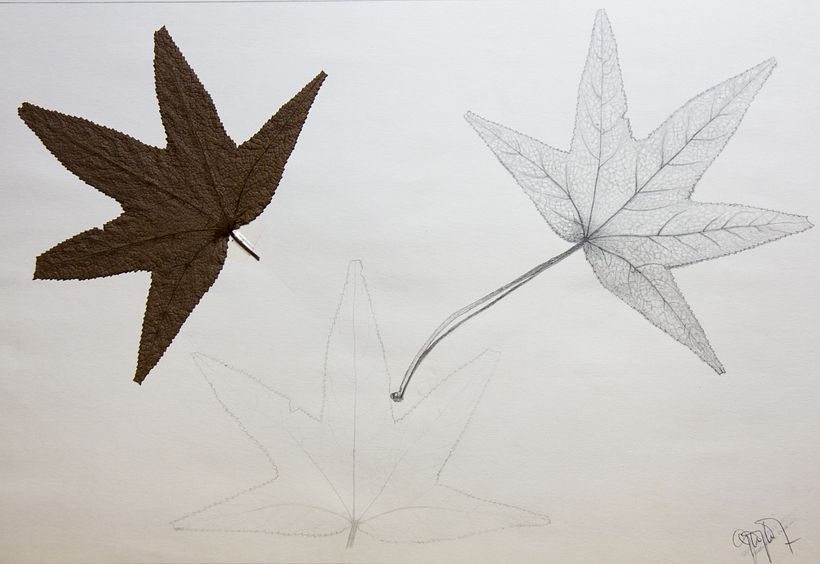 Primeras prácticas de dibujo - Dessin au crayon