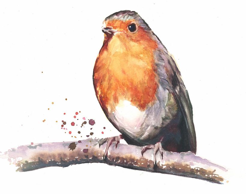 Here’s a little festive robin