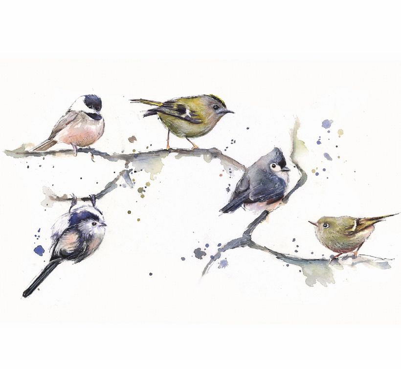 Birds on a branch 0