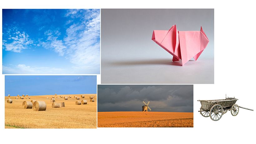 Mood Board