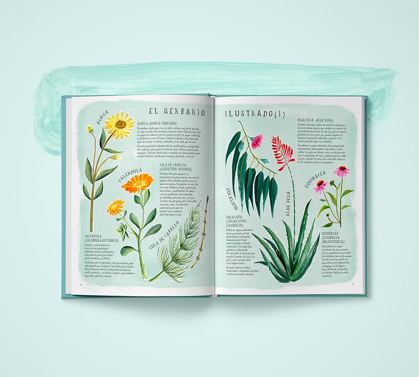 El herbario ilustrado